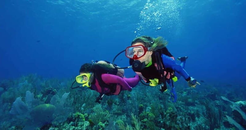 From Alanya: Scuba Diving Tour with Hotel Transfers - FAQ