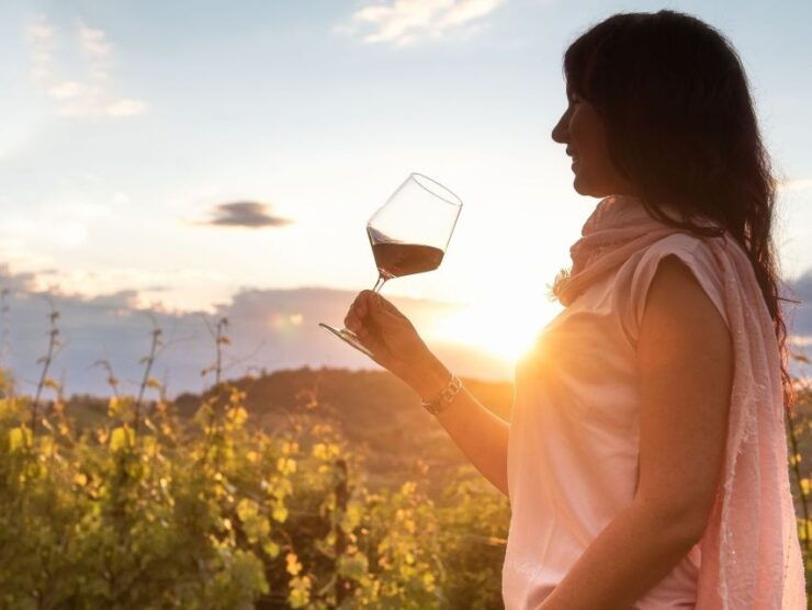 From Alba: Barolo & Barbaresco Wine Tasting Tour - Good To Know