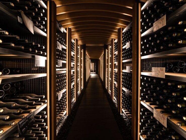 From Alba: Barolo & Barbaresco Wine Tasting Tour - Tour Highlights