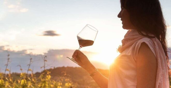 From Alba: Barolo & Barbaresco Wine Tasting Tour - Full Description