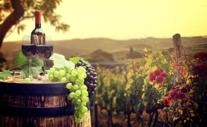From Alba/Turin: Langhe Wine Day Trip With Tastings & Lunch - Pickup Information