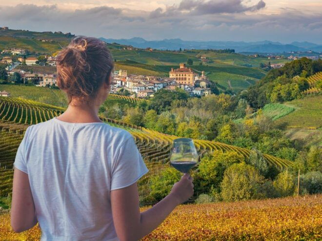 From Alba/Turin: Langhe Wine Day Trip With Tastings & Lunch - Tour Highlights