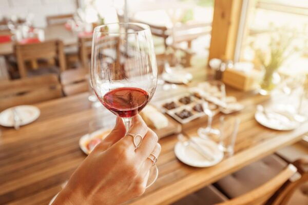 From Alba/Turin: Langhe Wine Day Trip With Tastings & Lunch - Tour Description