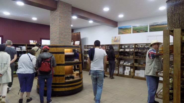 From Albir, Altea, Benidorm & Calpe: Jalón Valley Excursion - Highlights of the Excursion