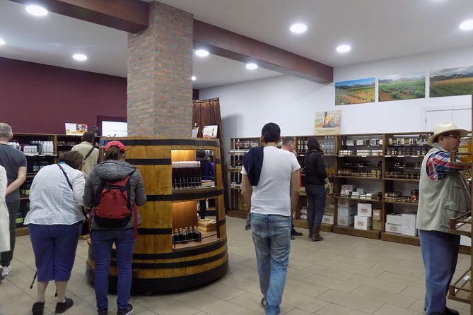 From Albir, Altea, Benidorm & Calpe: Jalón Valley Excursion - The Sum Up