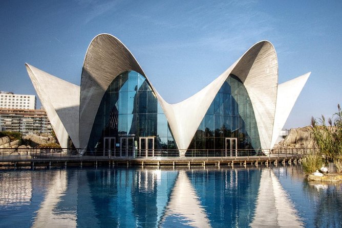 From Albir, Altea, Benidorm & Calpe: Valencia City Excursion - Additional Info
