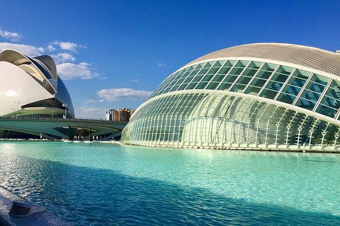 From Albir, Altea, Benidorm & Calpe: Valencia City Excursion - Photo Gallery