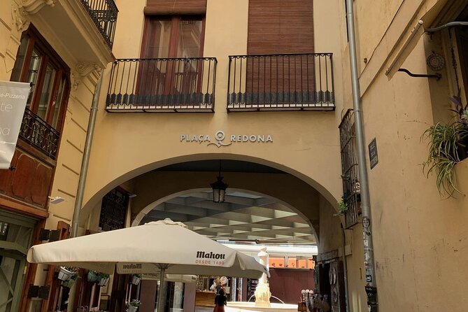 From Albir, Altea, Benidorm & Calpe: Valencia City Excursion - Overall Satisfaction and Recommendation