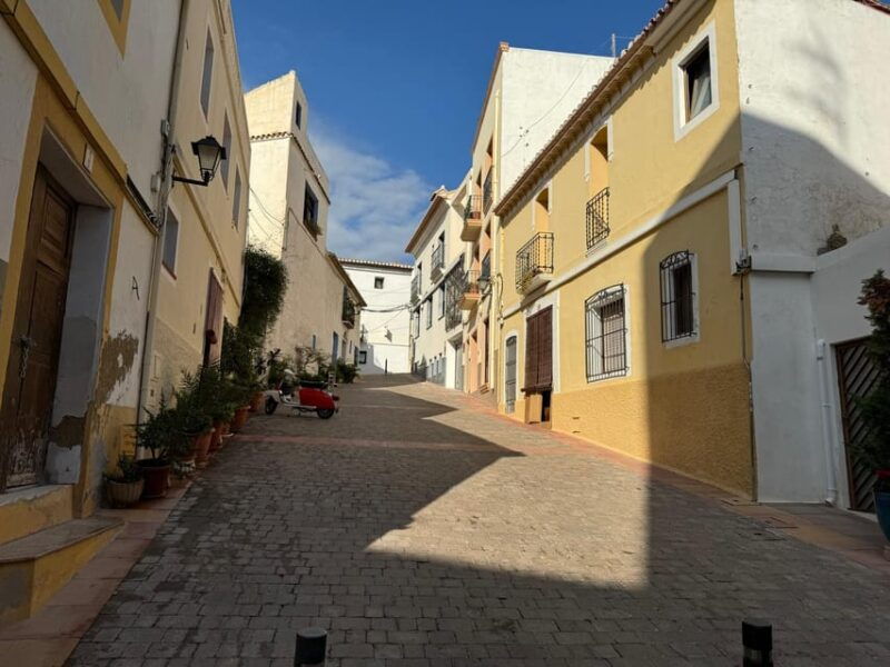 From Albir & Benidorm: Calpe Old Town and Port Day Trip - Good To Know