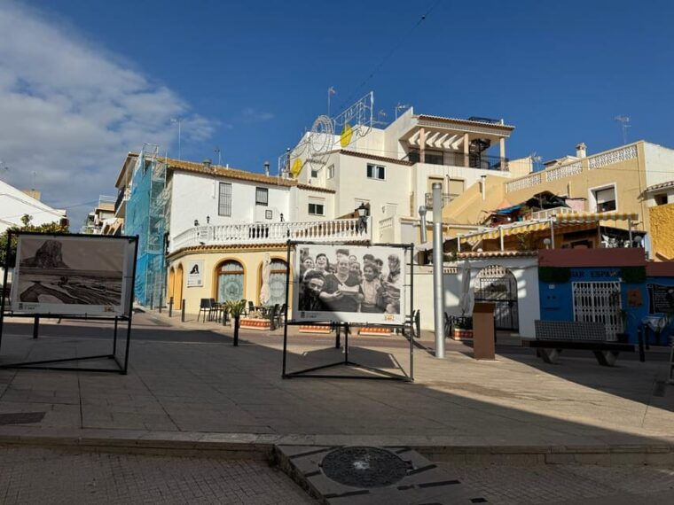 From Albir & Benidorm: Calpe Old Town and Port Day Trip - Meeting Points