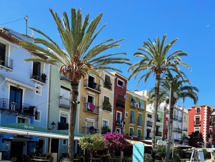 From Albir & Benidorm: Chocolate Factory and Market Tour - Activity Details