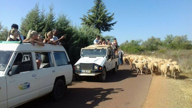 From Albufeira: 4x4 Off-Road Safari & Vineyard Wine Tasting - Activity Details and Reservation Information