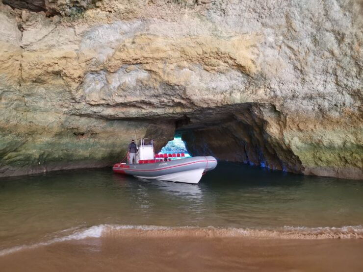 From Albufeira: Benagil Caves and Dolphins Guided Boat Tour - Experience