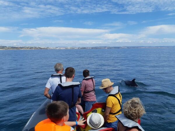 From Albufeira: Benagil Caves and Dolphins Guided Boat Tour - The Sum Up
