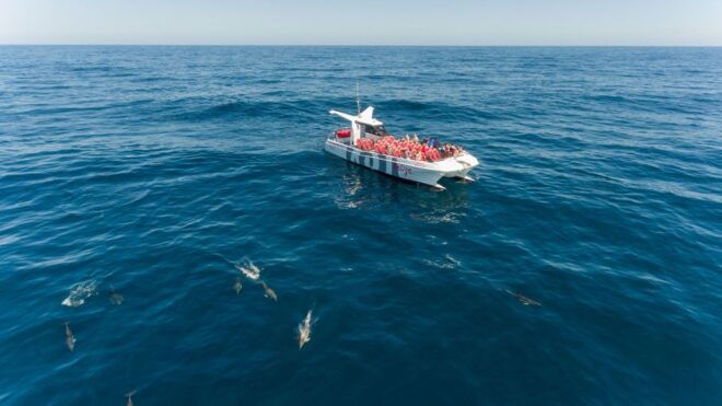 From Albufeira: Dolphins and Caves 2.5-Hour Boat Trip - Inclusions