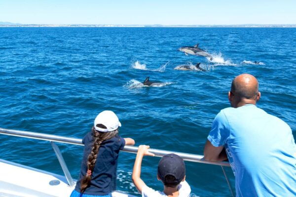 From Albufeira: Dolphins and Caves 2.5-Hour Boat Trip - The Sum Up