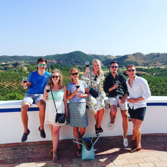 From Albufeira: Full-Day Wine Tasting Tour With a Guide - Highlights