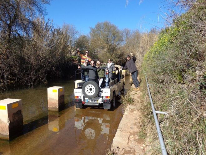 From Albufeira: Half-Day Algarve Jeep Safari - Full Description
