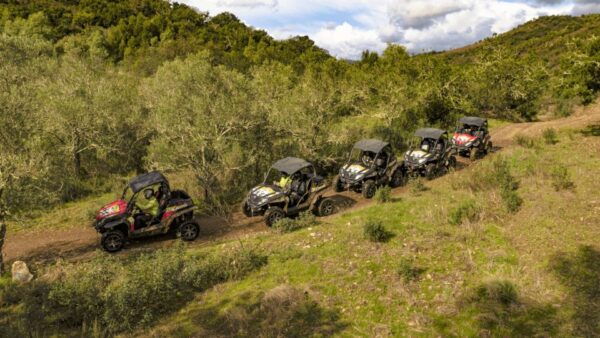 From Albufeira: Half-Day Buggy Adventure Tour - Common Questions