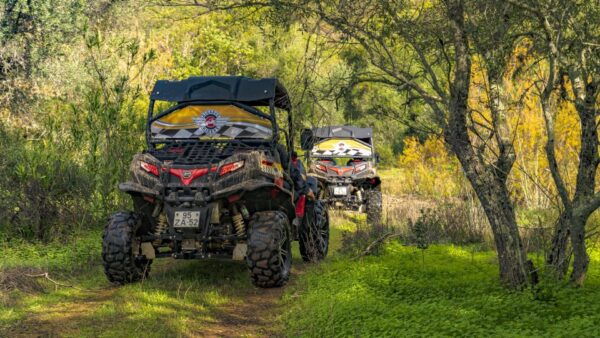 From Albufeira: Half-Day Buggy Adventure Tour - The Sum Up