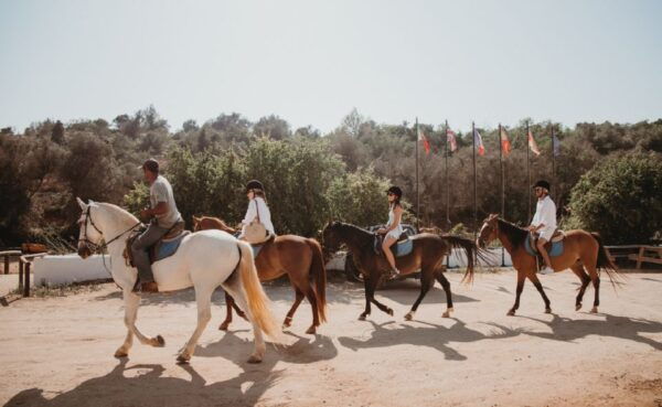 From Albufeira: Half-Day Hidden Gems & Horse Riding Tour - Common Questions