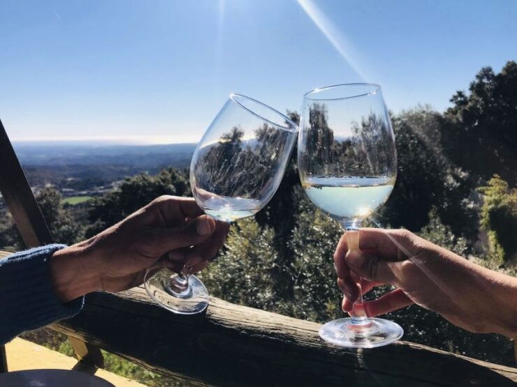 From Albufeira: Half-Day Winery Tour and Silves - Tour Details