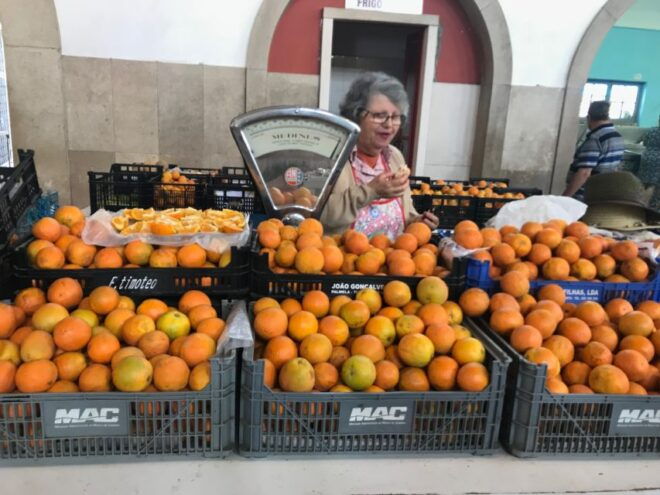 From Albufeira: Half-Day Winery Tour and Silves - Customer Reviews
