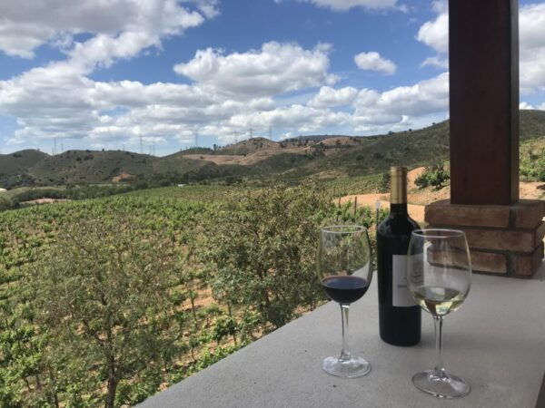 From Albufeira: Half-Day Winery Tour and Silves - Common Questions