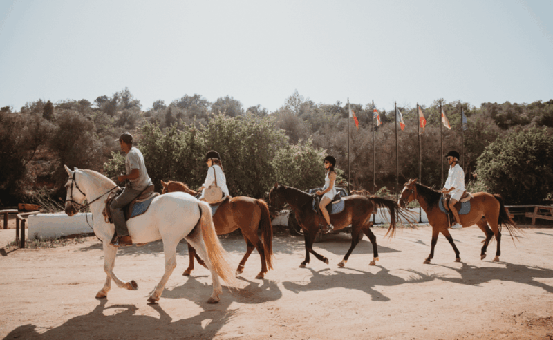 From Albufeira: Horse Riding Tour with Pickup - What You Can Expect from the Horseback Riding Tour
