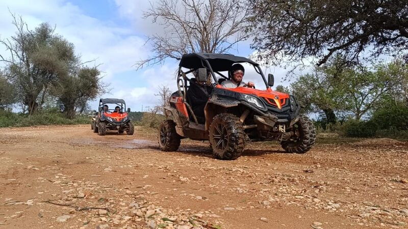 From Albufeira: Paderne Adventure Buggy Ride - From Albufeira: Paderne Adventure Buggy Ride Review