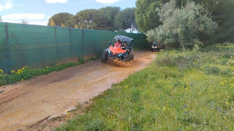 From Albufeira: Paderne Adventure Buggy Ride - Final Thoughts