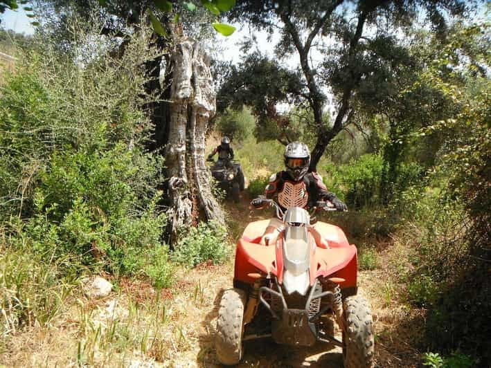 From Albufeira: Paderne Adventure Quad Ride - Detailed Breakdown of the Tour