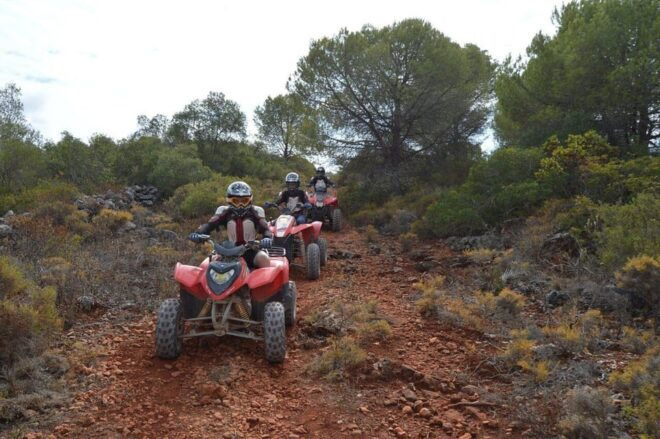 From Albufeira: Paderne Adventure Quad Ride - Suitable for All Skill Levels