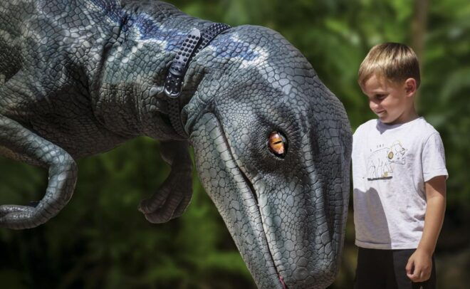 From Alcúdia: Dinosaurland and Hams Caves Half-Day Trip - Itinerary