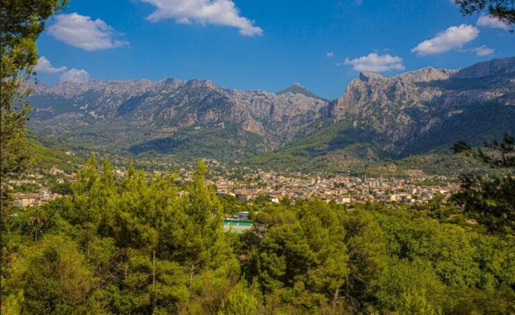 From Alcúdia: Soller Train and Tram Half Day Tour - Experience Highlights