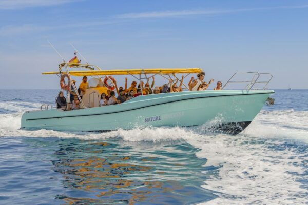 From Alcudia: Sunrise Dolphin Watching Boat Tour - The Sum Up
