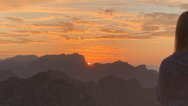 From Alcudia: Sunset Formentor Tour With Cava - Language Options and Group Size