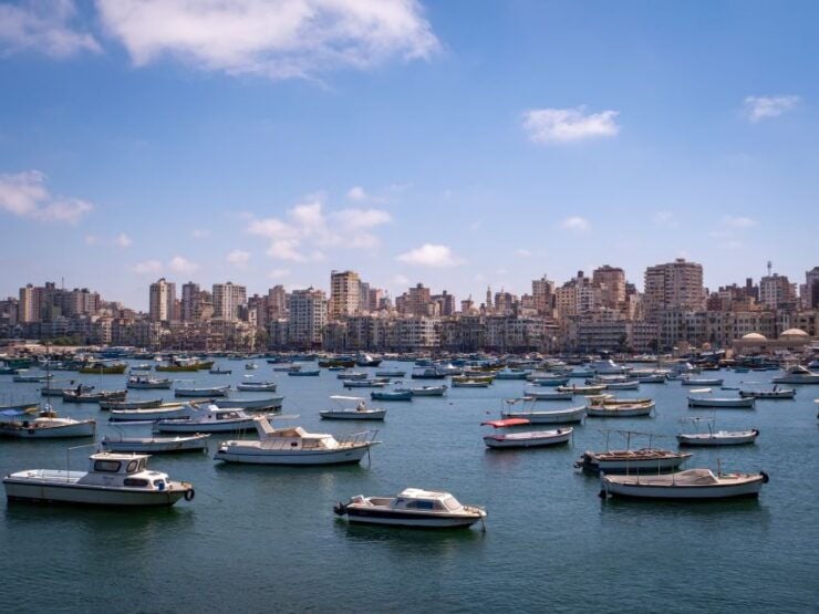 From Alexandria:- Highlights of Alexandria-full City Tour - Tour Overview