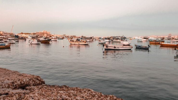 From Alexandria:- Highlights of Alexandria-full City Tour - Booking Details