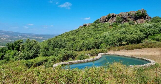 From Alghero: Cooking Experience in a Small Village - Cultural and Nature Exploration in Sardinia