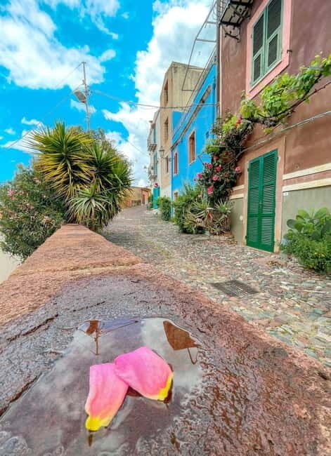 From Alghero: Market day in Bosa - Who Will Love This Tour?
