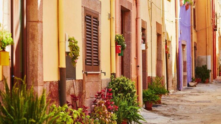 From Alghero: Panoramic Tour of Bosa - Activity Description