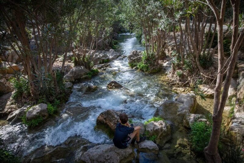 From Alicante and Benidorm: Famous Algar Fountain Tour. Private Transportation - Good To Know