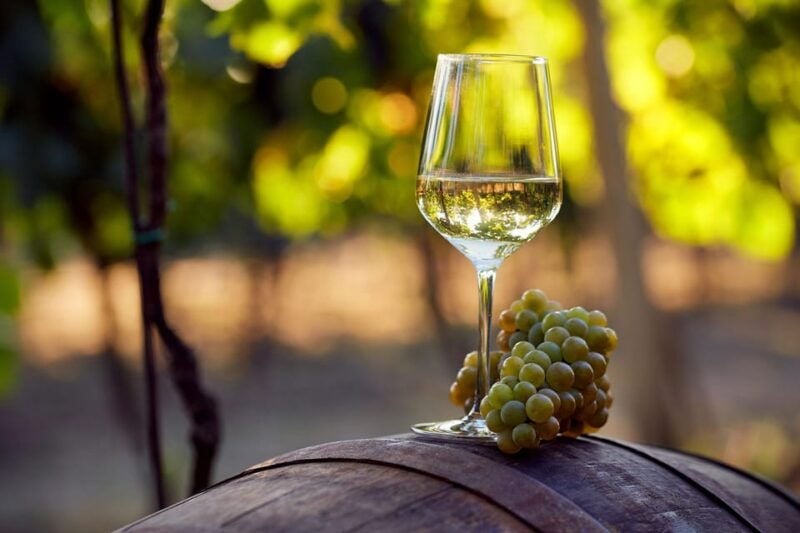 From Alicante and Elche: Guided Tour to Vineyard and Winery With Tasting. - Itinerary and Transportation