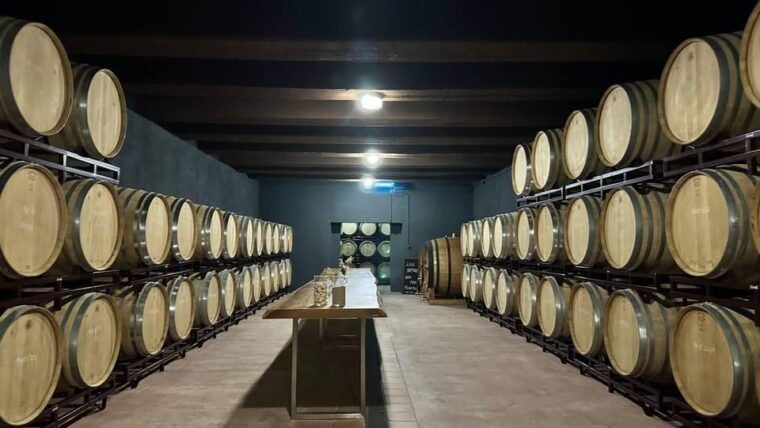 From Alicante ,Benidorm: Winery Tour and Wine Tasting - Experience Highlights
