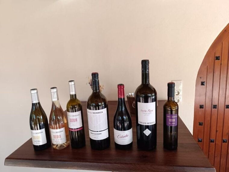 From Alicante ,Benidorm: Winery Tour and Wine Tasting - Wine Tasting Experience