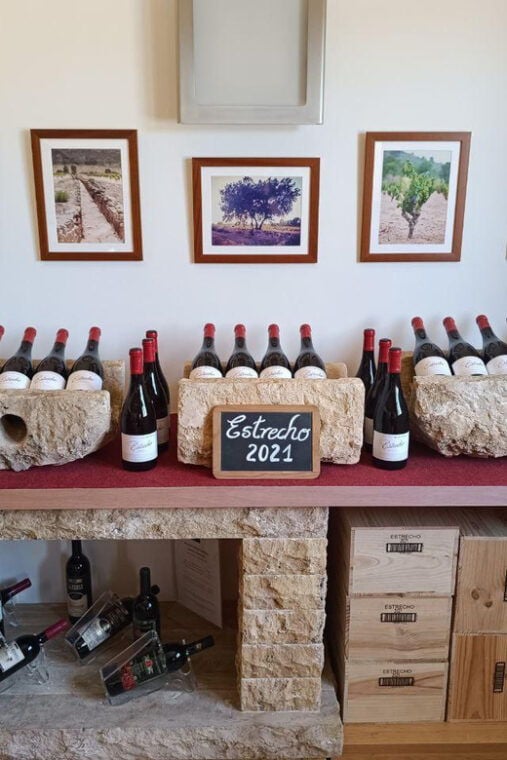 From Alicante ,Benidorm: Winery Tour and Wine Tasting - What to Expect on the Tour