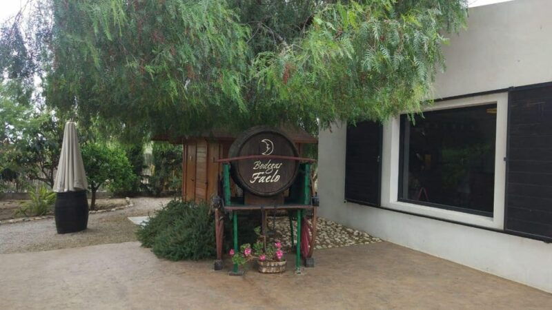 From Alicante: Best Winery Tour and Wine Tasting - Itinerary