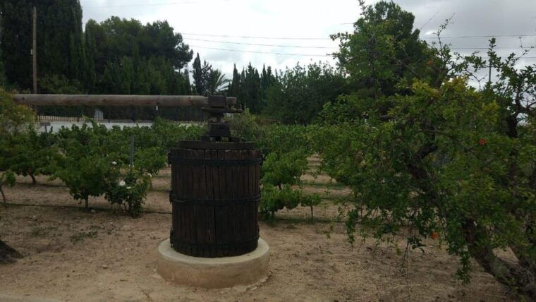 From Alicante: Best Winery Tour and Wine Tasting - Common Questions