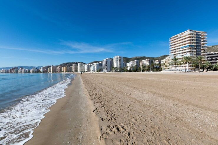 From Alicante: Cullera Old Town and Albufera Natural Park - Experience Highlights